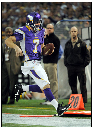 Vikes-06