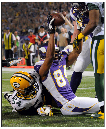 Vikes-19