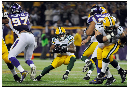 Vikes-20